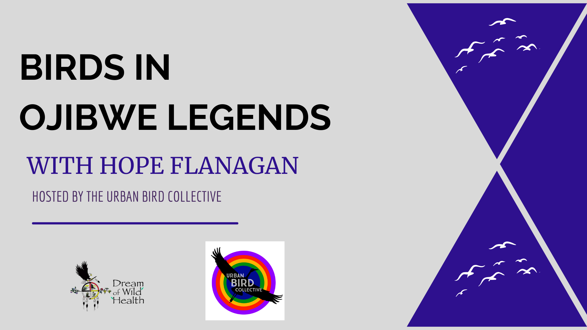 Birds in Ojibwe Legends with Hope Flanagan