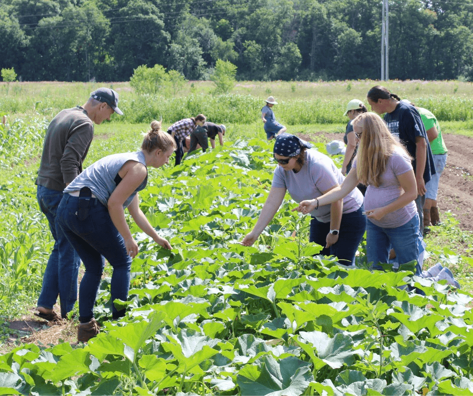 people working in the field