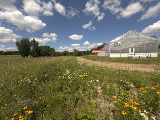 a dirt road next to the greenhouse building on a sunny day