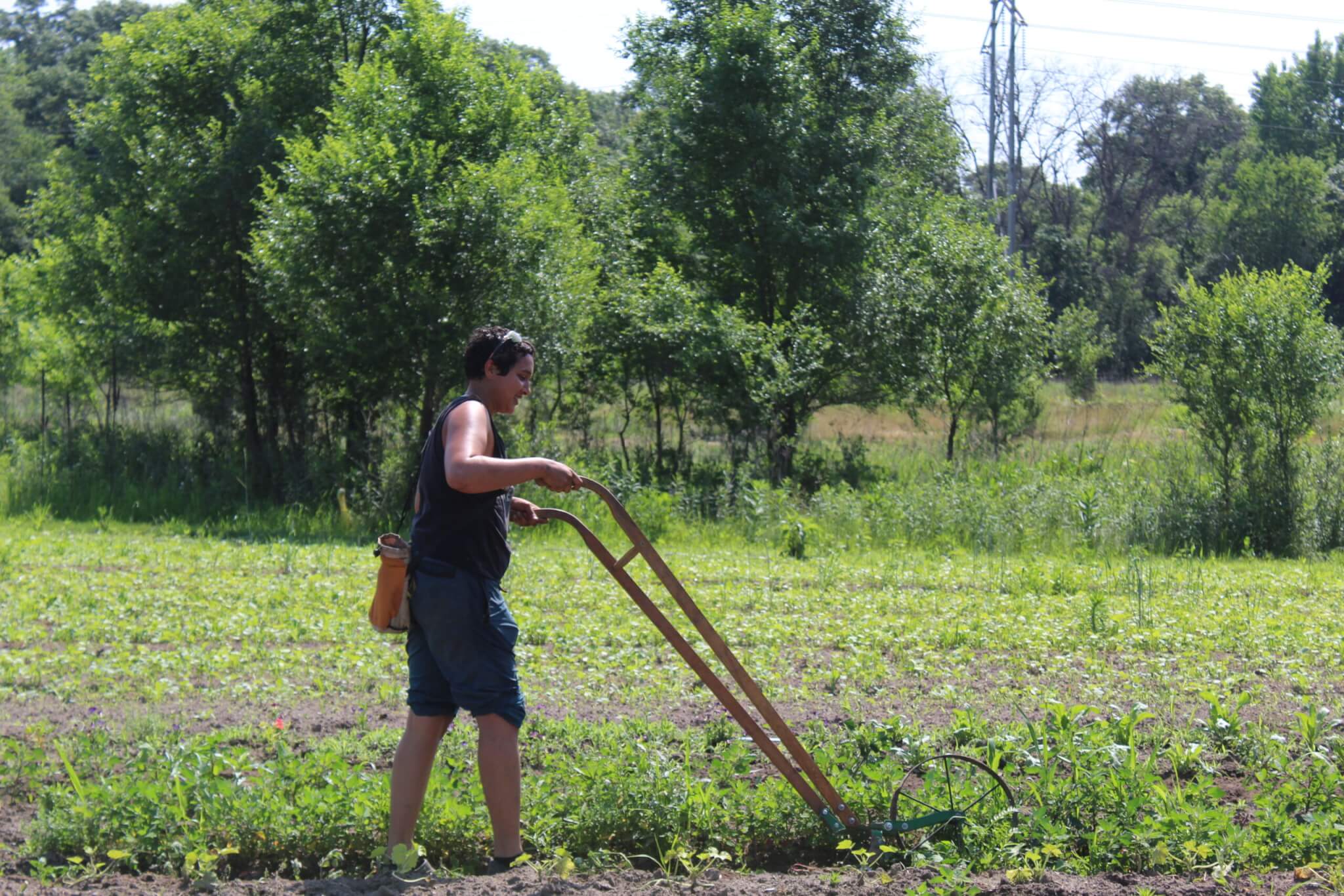 person hand tilling a field
