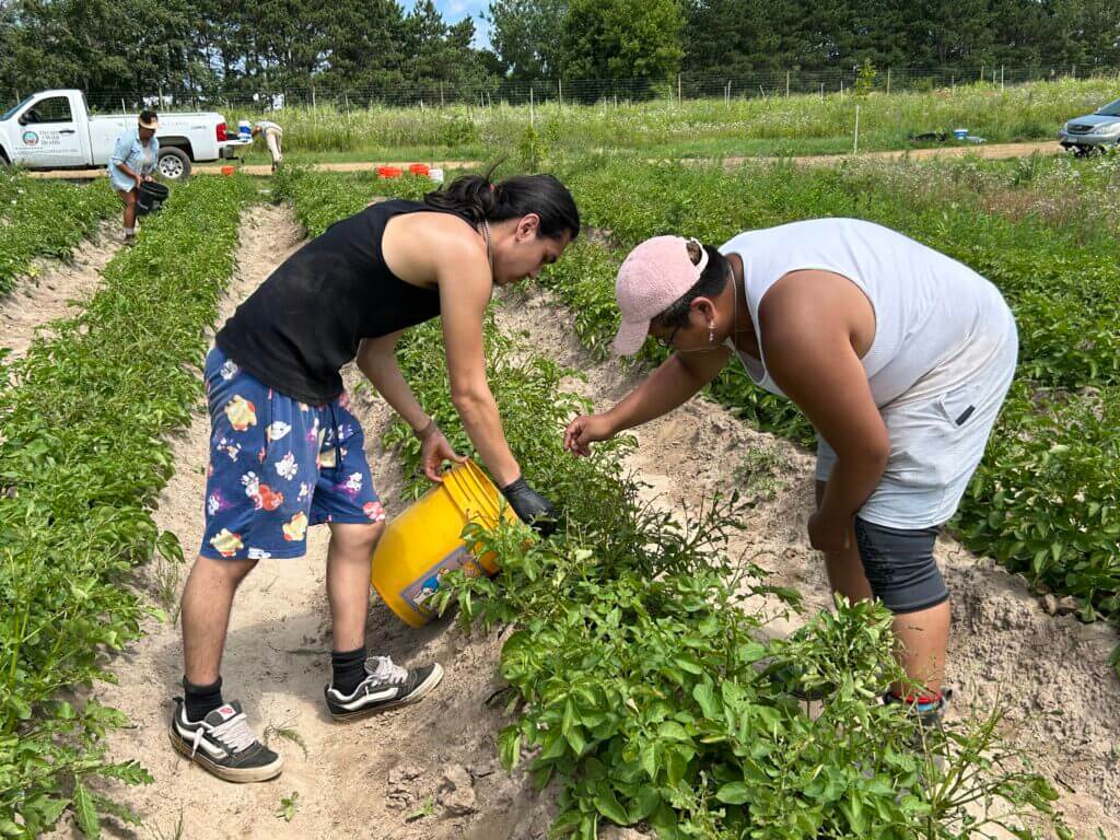 people working in a field on a bright day